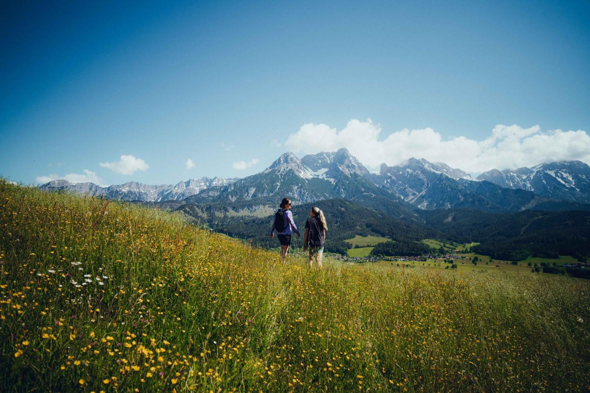 Holzhotel Forsthofalm 4* Leogang