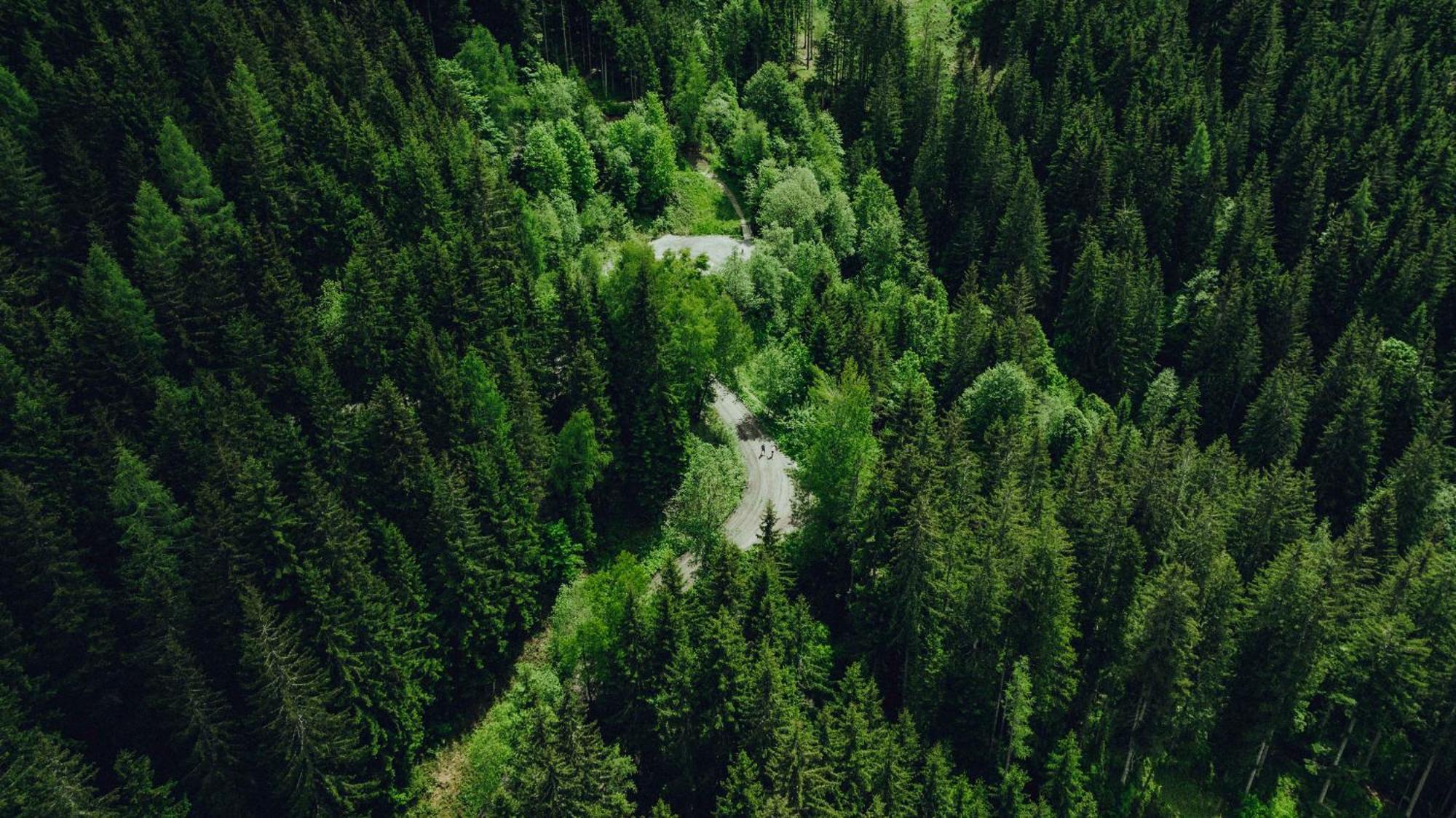 Holzhotel Forsthofalm 4*